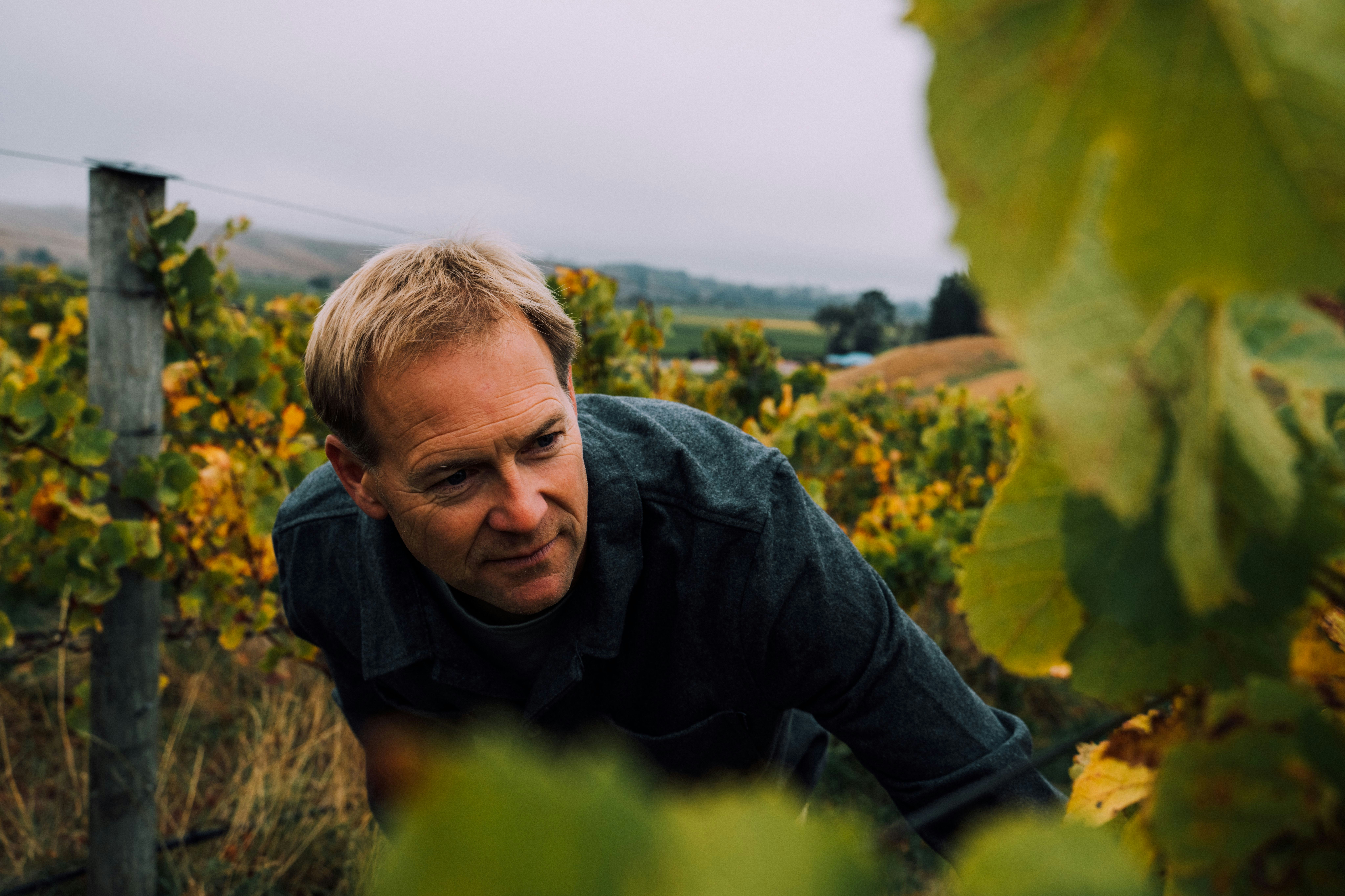 Portfolio photography