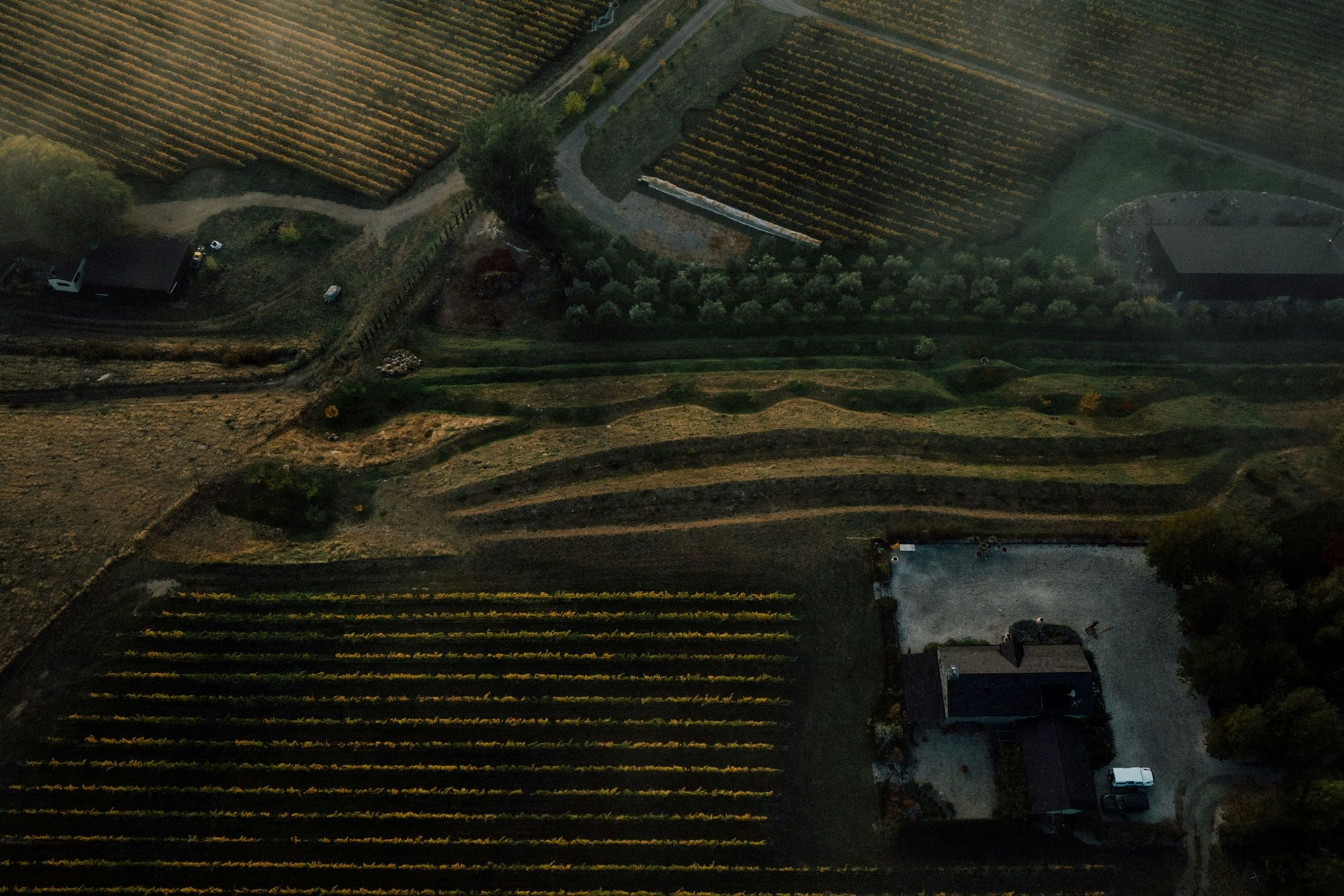 Portfolio photography