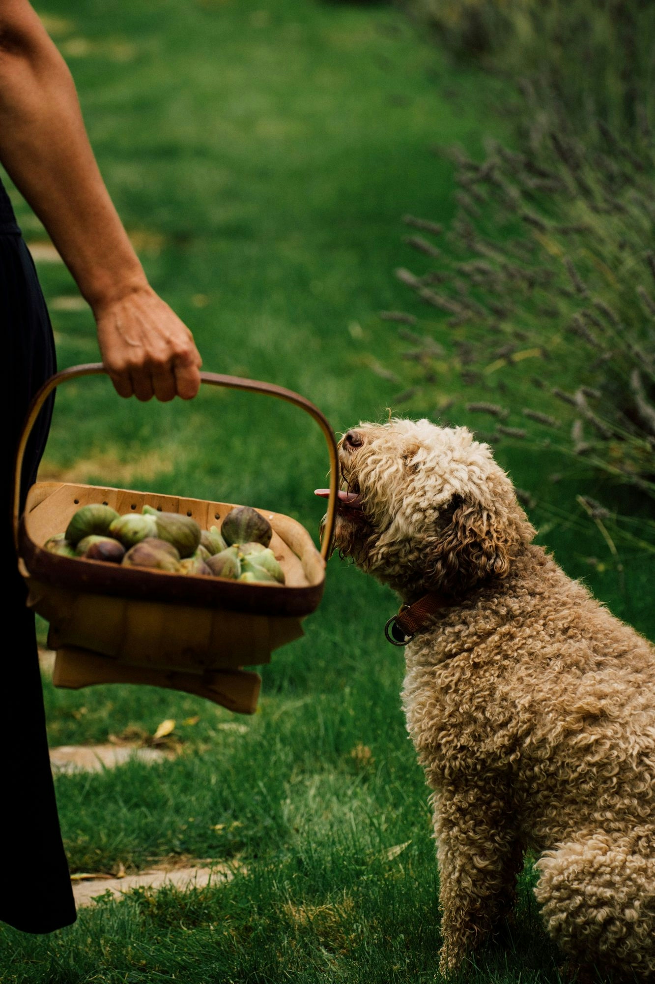 Portfolio photography