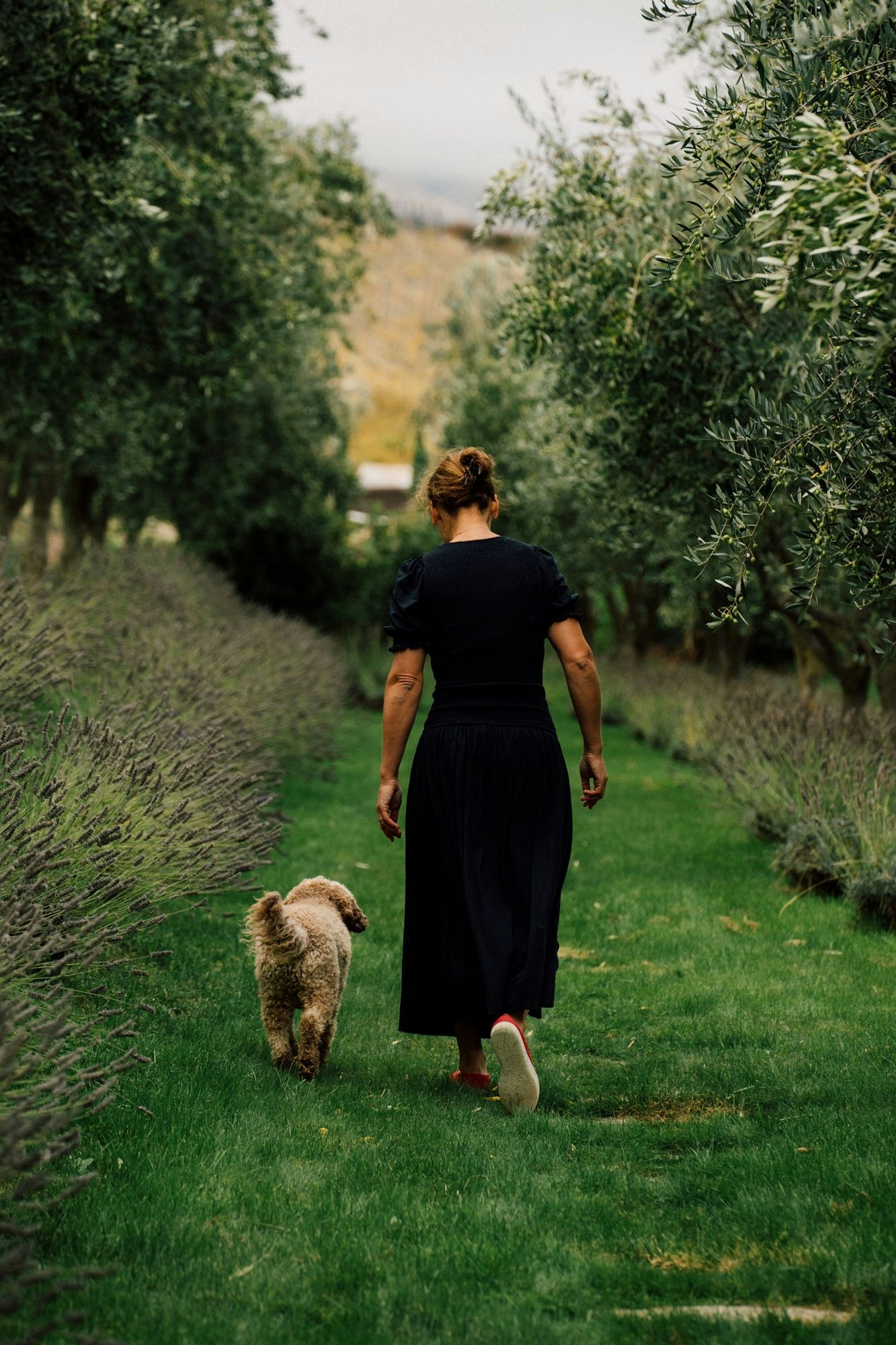 Portfolio photography