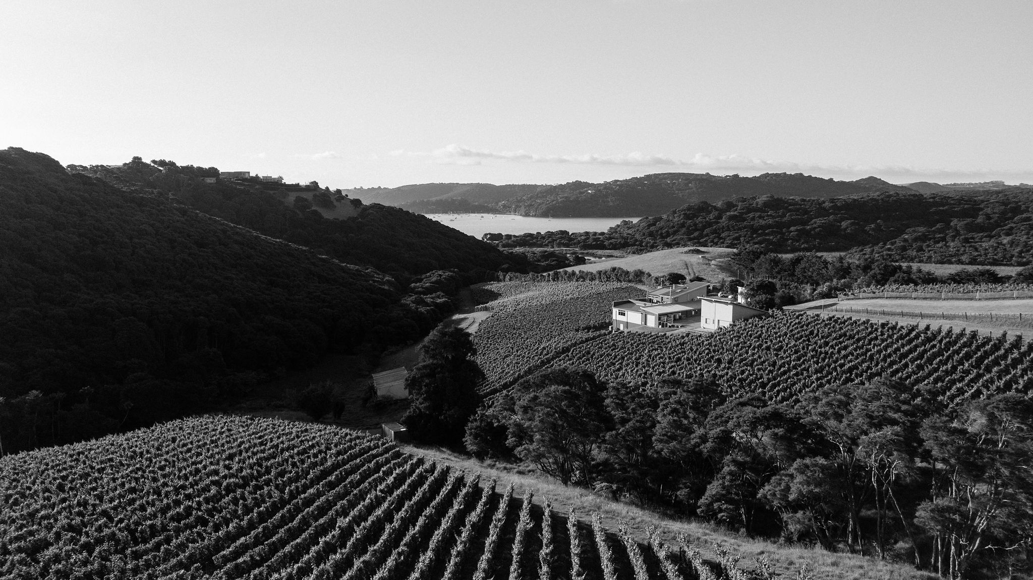 Portfolio photography