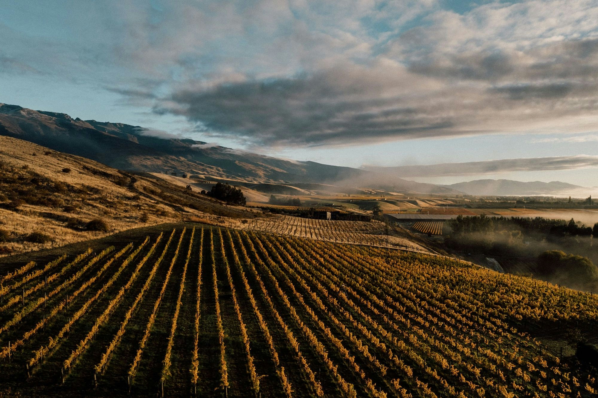 Portfolio photography