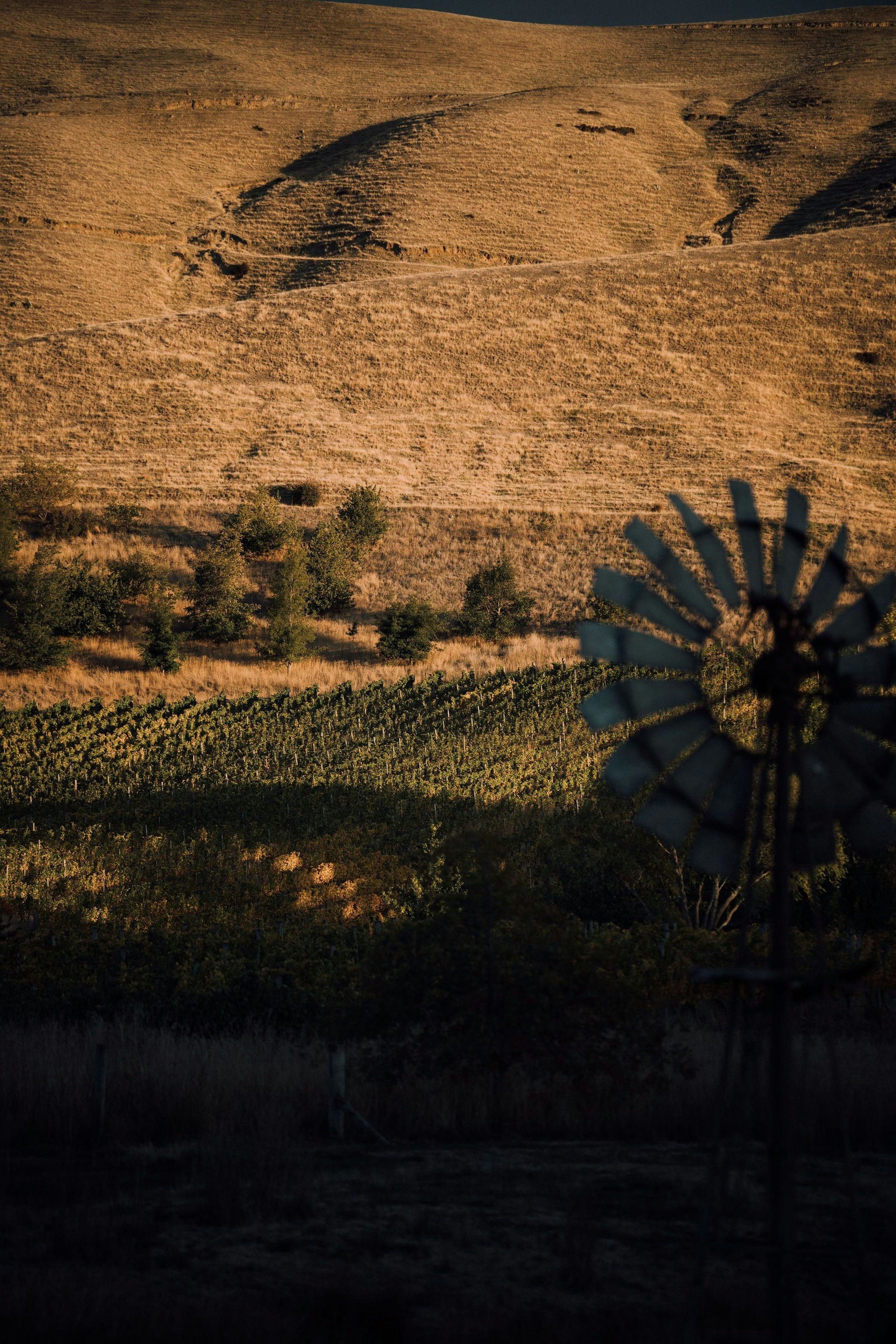 Portfolio photography