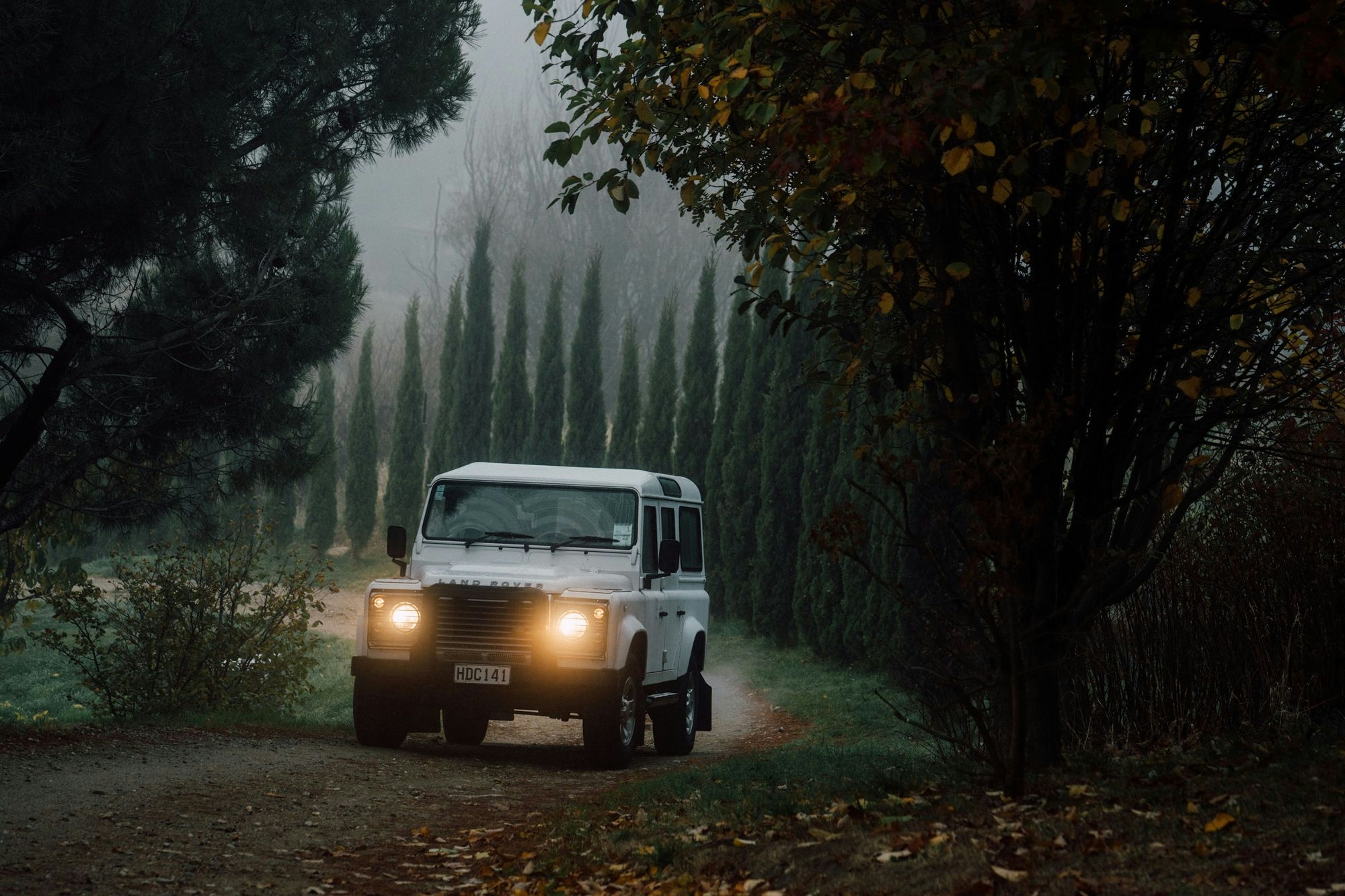 Portfolio photography