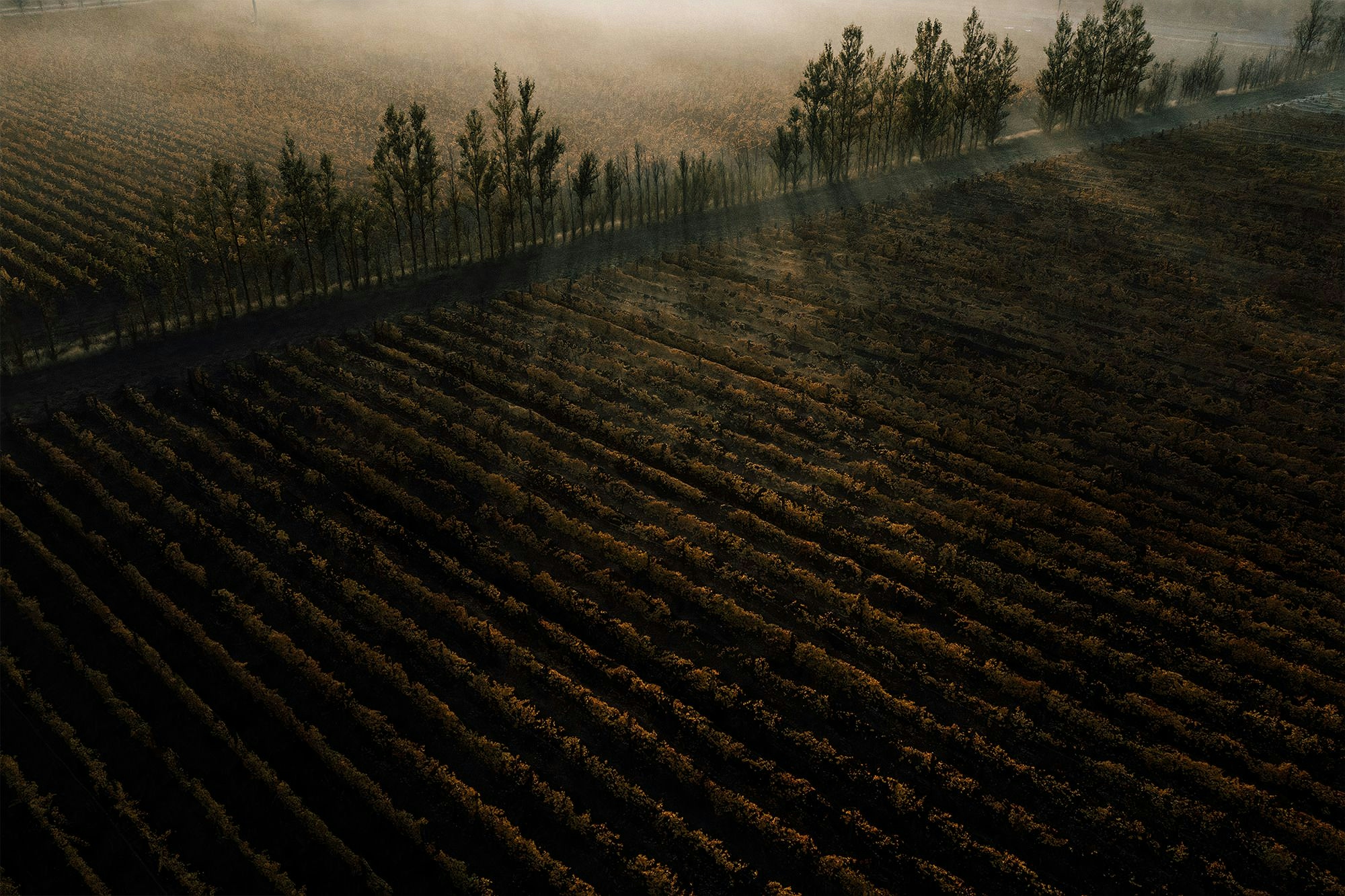 Portfolio photography